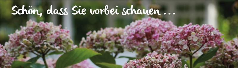 Schön, dass Sie vorbei schauen ...